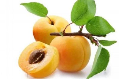 ​杏子有什么营养价值呢 杏子的生长环境怎么样呢