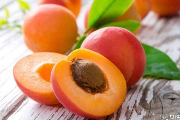 杏子有什么营养价值呢 杏子的生长环境怎么样呢
