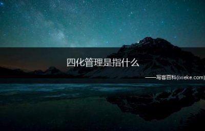 ​四化管理是指什么，四化管理思想
