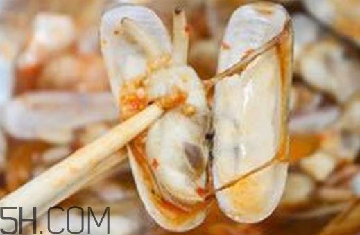 蛏子可以养多久?孕妇吃蛏子注意事项 蛏子可以养多久?孕妇吃蛏子注意事项