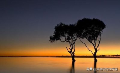 ​爱的价值 究竟爱的价值在哪里