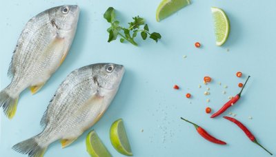 ​草鱼和鲤鱼有什么区别