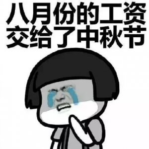 ​表情包：冷静分析，我的钱都花到哪里了？