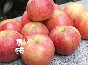 加纳果和苹果区别 两者之间有着哪些区别呢