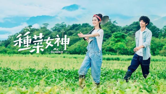 《延禧攻略》《如懿传》在台湾狭路相逢，哪位娘娘会更胜一筹？