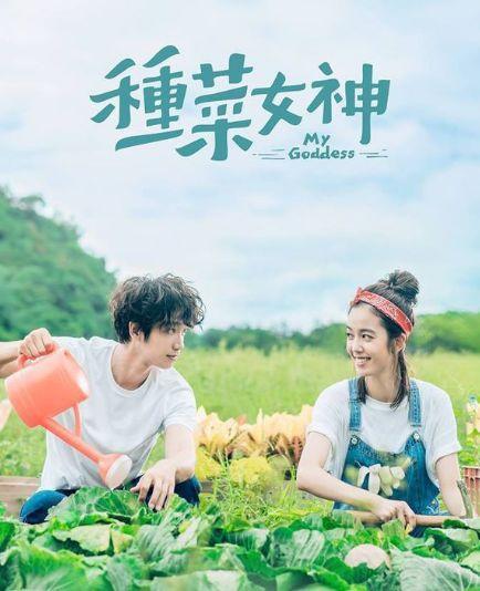 《延禧攻略》《如懿传》在台湾狭路相逢，哪位娘娘会更胜一筹？