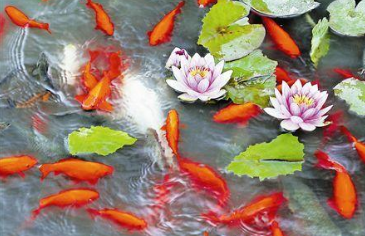 1623988506487606.png image.png