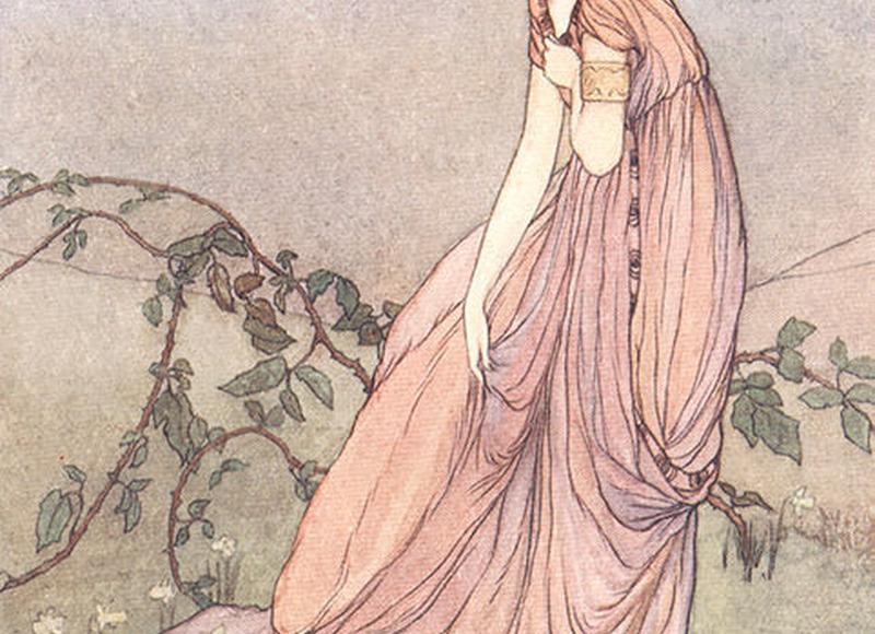 电视剧海棠，鬓边不是海棠红电视剧49集全免费看