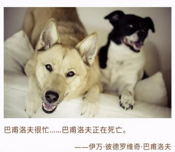 ​人类观察所——巴甫洛夫定律