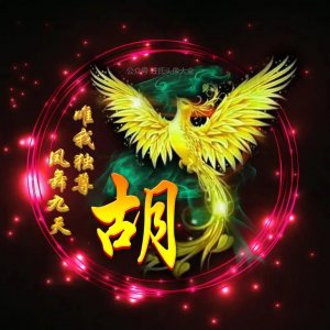 ​2021 唯美凤凰主题姓氏头像，张张精美，凤舞九天，唯我独尊