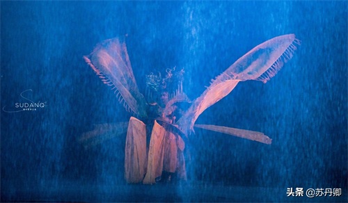 外国人指导中国文化，武汉《汉秀》怎么样？一张门票最贵2699元