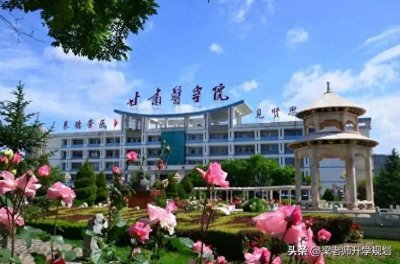 ​甘肃医学院2024年在河南省分专业录取分数