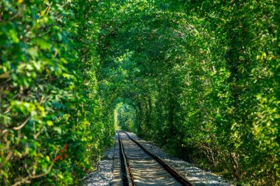 ​眼睛在旅行丨南京的“爱情隧道”