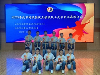 ​弘扬传统武术 豹澥一小推进武教融合