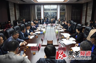 ​熊哲文肖义调度黑茶文化节筹备情况 研究部署相关工作