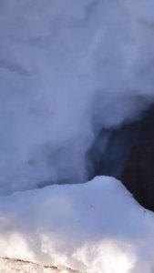 ​紫貂家族定居凤凰山 可萌可萌的它们原来长这样