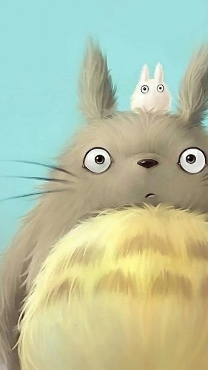 壁纸|第九弹——龙猫,这么萌的龙猫,躺在上面睡觉一定很舒服