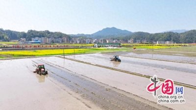 ​湖南隆回：超级杂交水稻＂智慧育秧＂鸣枪开跑