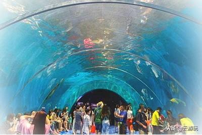 青岛旅游景点（盘点青岛20个热门景点）(13)