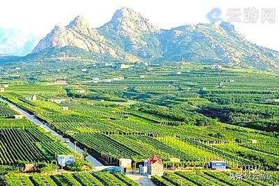 青岛旅游景点（盘点青岛20个热门景点）(5)