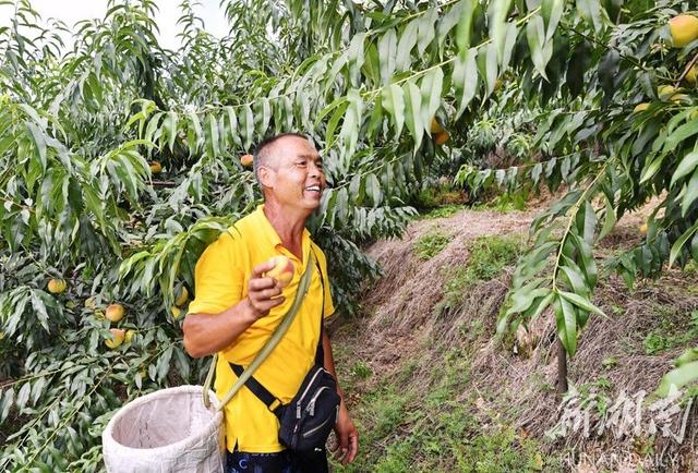 决战决胜脱贫攻坚山海相牵（走向胜利决战决胜市州巡礼）(4)