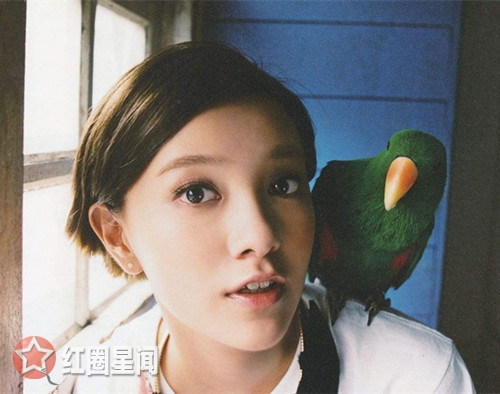 郭采洁整容了吗 郭采洁微博回应没有整容后秒删