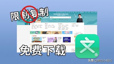 ​「黑白小技巧」百度文库限制复制解除与免费下载