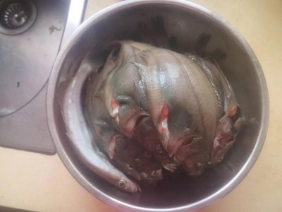 ​威海人常吃的杂鱼之偏口鱼