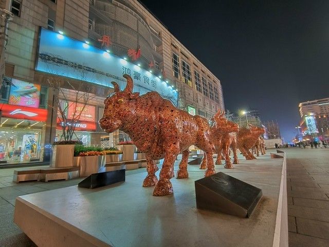 oppo reno5pro 5g参数（20年收官之作）