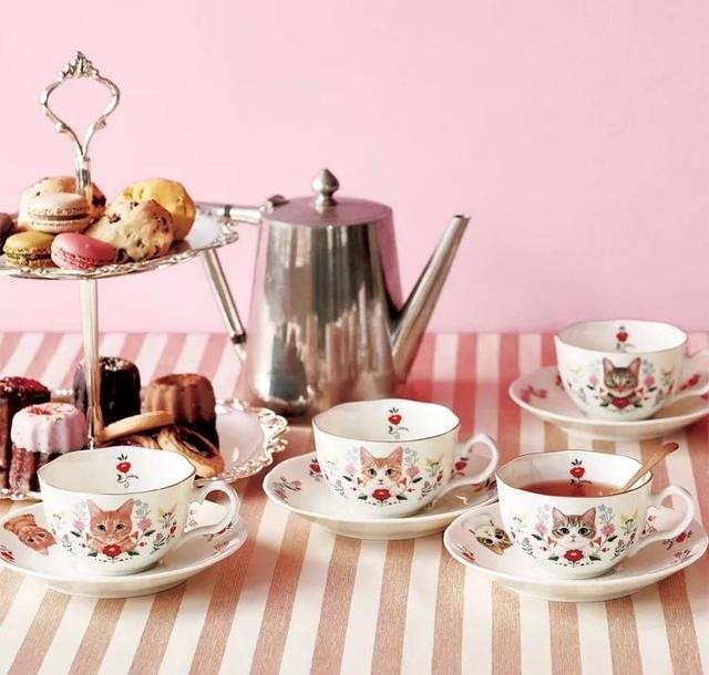 猫咪主食杯（星爸爸猫爪杯算什么）(29)