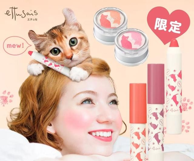 猫咪主食杯（星爸爸猫爪杯算什么）(11)