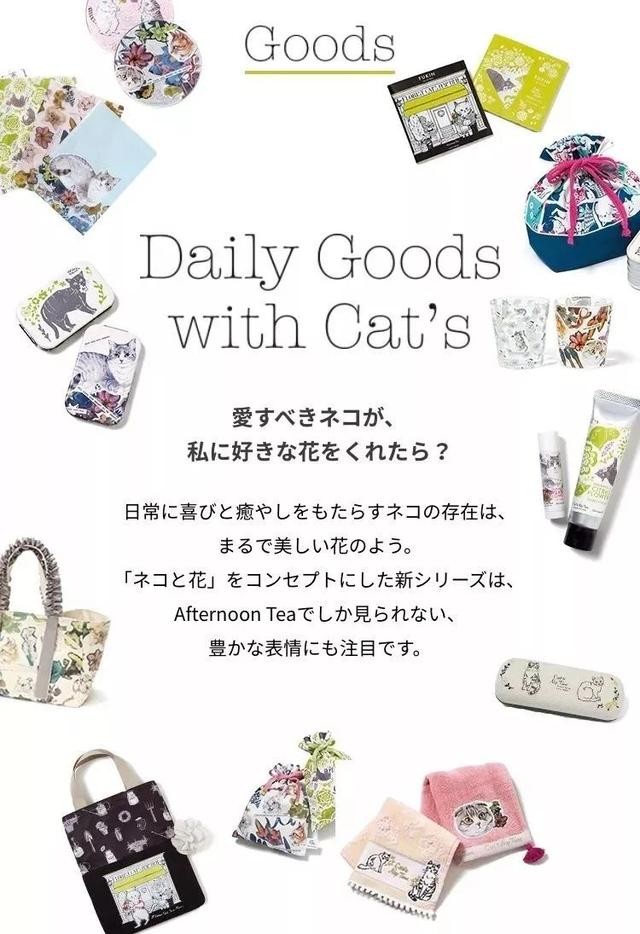 猫咪主食杯（星爸爸猫爪杯算什么）(36)