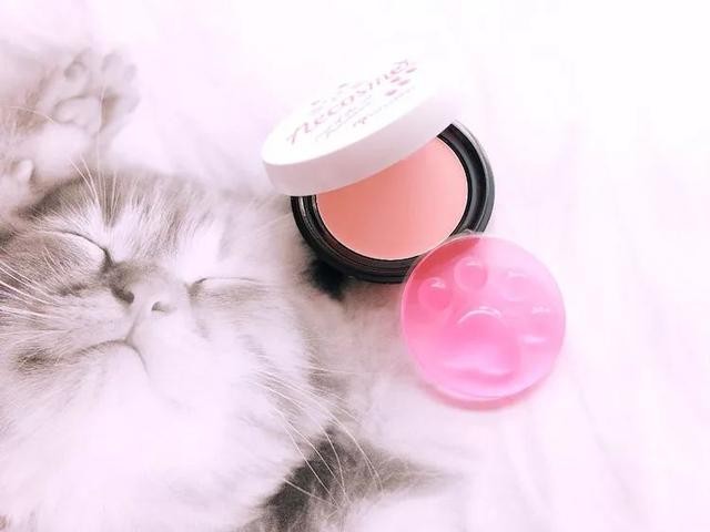 猫咪主食杯（星爸爸猫爪杯算什么）(16)