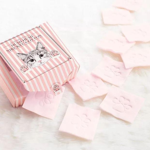 猫咪主食杯（星爸爸猫爪杯算什么）(30)