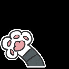 猫咪主食杯（星爸爸猫爪杯算什么）(23)