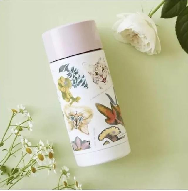 猫咪主食杯（星爸爸猫爪杯算什么）(38)