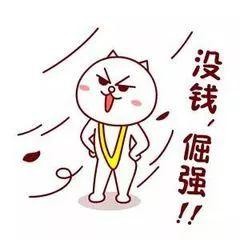 猫咪主食杯（星爸爸猫爪杯算什么）(45)