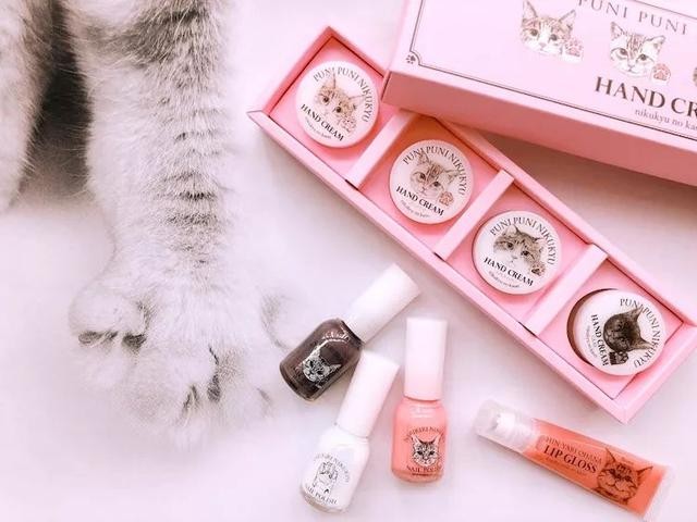 猫咪主食杯（星爸爸猫爪杯算什么）(18)