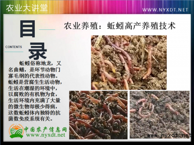 ​地龙养殖技术视频教程（农业养殖：蚯蚓高产养殖技术）