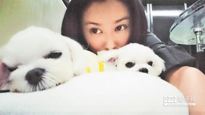 ​陈佩骐放手毛小孩伴余生