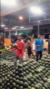 ​可以在朋友圈“装X”的图片， 拿走不谢～哈哈哈