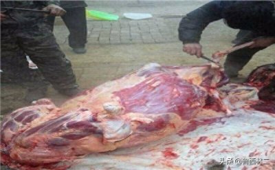 ​鲁西名吃之高唐驴肉