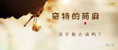 ​奇特的苘麻，它的名字你会读吗？