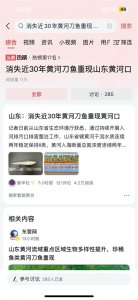 ​消失近30年黄河刀鱼重现山东黄河口