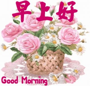 ​2020特漂亮的早上好鲜花祝福语图片，早安最美的表情动态图片