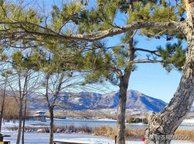 ​雪后的龙泉公园