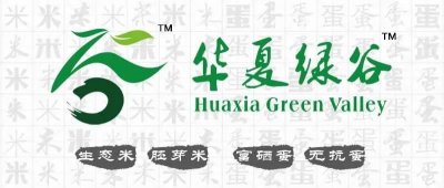 ​2020年港姐太好看了！泳装照满屏都是腿！我找到了下一个李嘉欣…