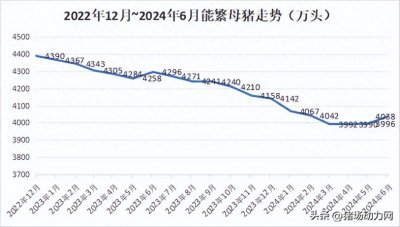 ​重磅！6月全国能繁母猪大增46万头，究竟谁在上母猪？