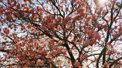 ​【元宵节特辑】温馨元宵夜，音乐最懂你