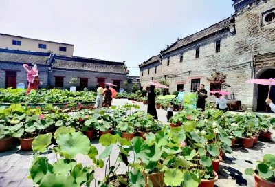 ​商水县邓城镇：文旅融合赋能乡村振兴